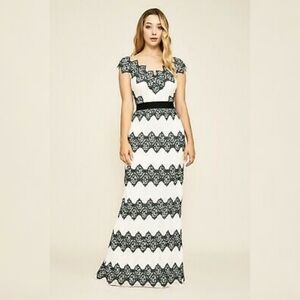Tadashi Shoji Ivory and Black Zip Zag Lace Striped Dress.